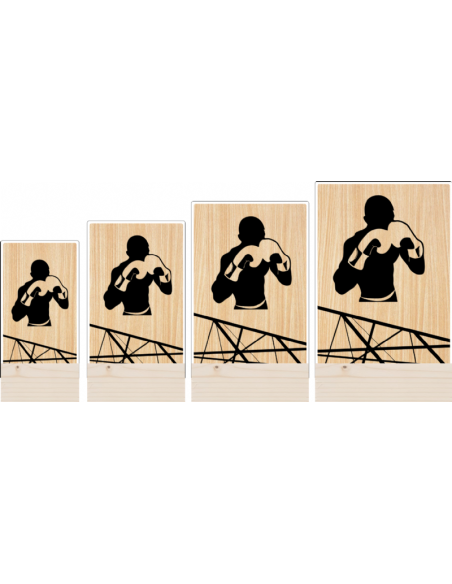 Trofeo Boxeo De Metacrilato Y Madera