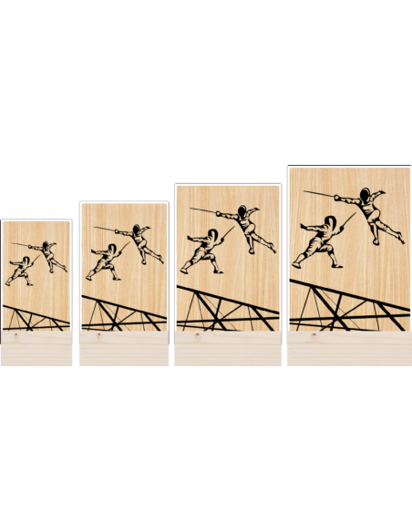 Trofeo Esgrima De Metacrilato Y Madera