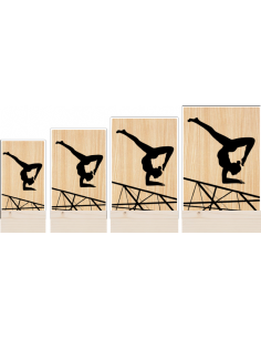Trofeo Gimnasia Ritmica De Metacrilato Y Madera