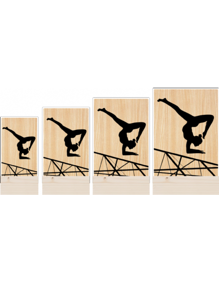 Trofeo Gimnasia Ritmica De Metacrilato Y Madera