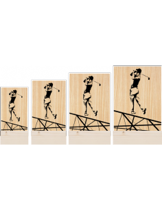 Trofeo Golf Masculino De Metacrilato Y Madera