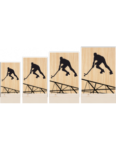 Trofeo Hockey De Metacrilato Y Madera