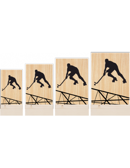 Trofeo Hockey De Metacrilato Y Madera