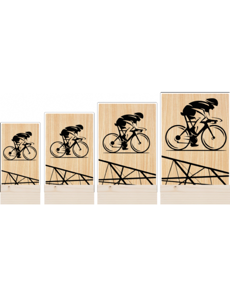 Trofeo Ciclismo Carretera De Metacrilato Y Madera