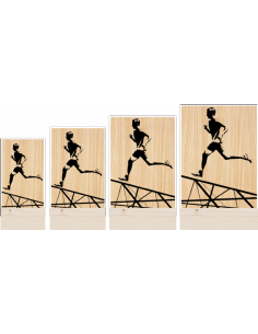 Trofeo Running Masculino De Metacrilato Y Madera