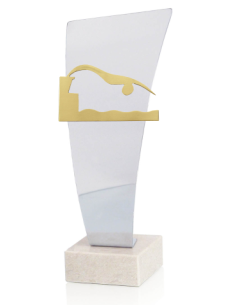 Trofeo De Natacion