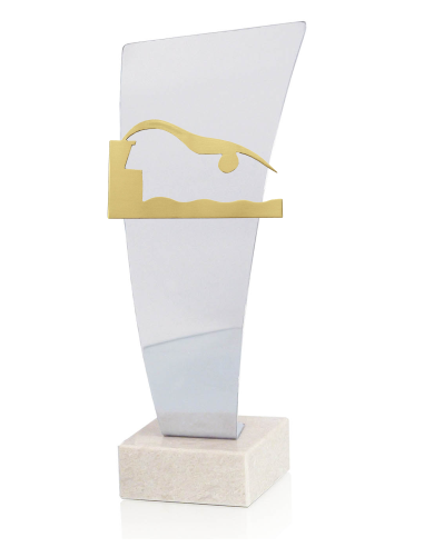 Trofeo De Natacion