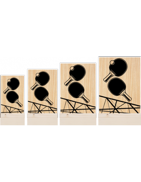 Trofeo Tenis Mesa De Metacrilato Y Madera