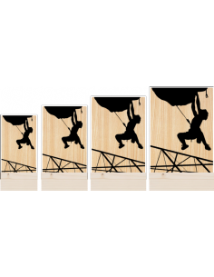 Trofeo Escalada De Metacrilato Y Madera