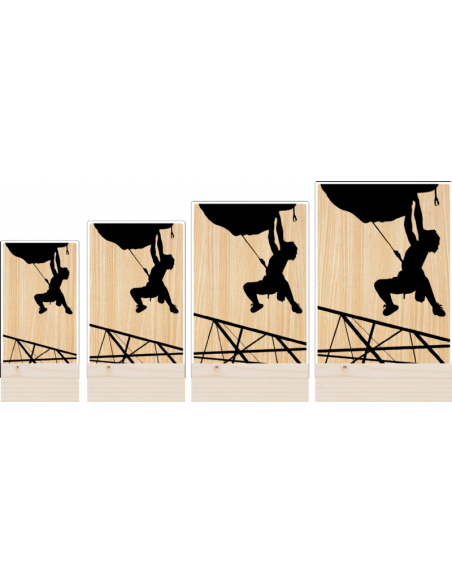 Trofeo Escalada De Metacrilato Y Madera