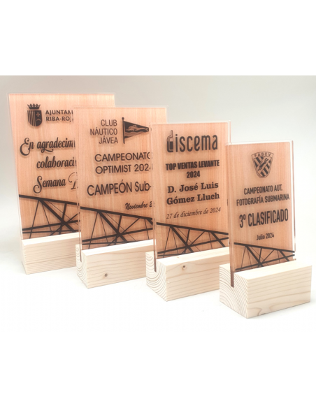 Trofeo de Dardos personalizado y grabado