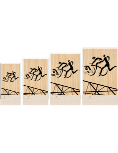 Trofeo Triatlon De Metacrilato Y Madera