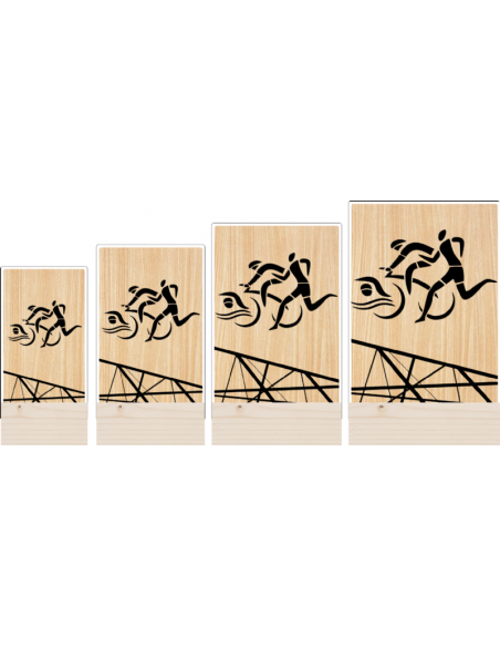 Trofeo Triatlon De Metacrilato Y Madera
