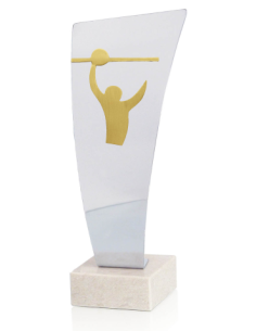 Trofeo De Voleybol