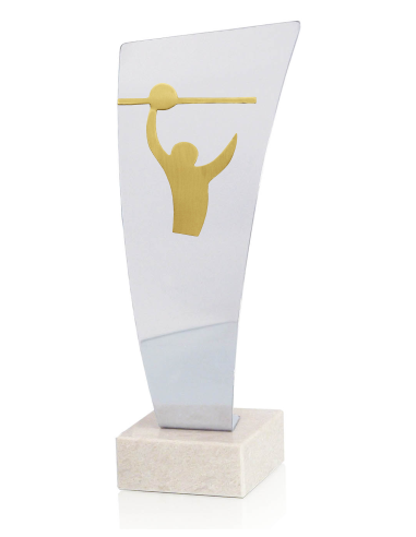 Trofeo De Voleybol
