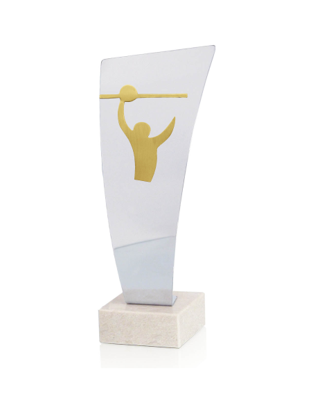 Trofeo De Voleybol