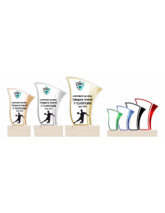 Trofeo Economico de Balonmano Masculino a Color de Metacrilato