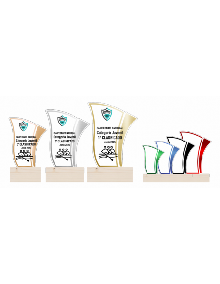 Trofeo De Remo De Metacrilato Decorado