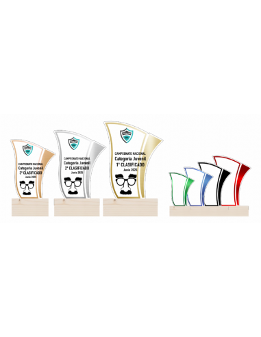 Trofeo De Disfraces De Metacrilato Decorado