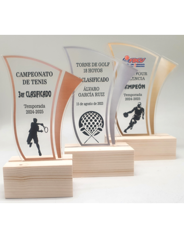 Trofeo Economico de Voleibol Masculino a Color de Metacrilato