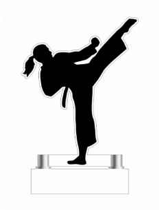 Trofeo De Artes Marciales Femenino De Metacrilato Recortado