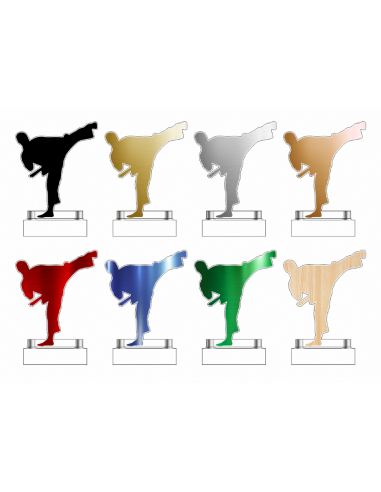 Trofeo De Artes Marciales Masculino Karate Taekwondo De Metacrilato Recortado