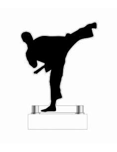 Trofeo De Artes Marciales Masculino De Metacrilato Recortado