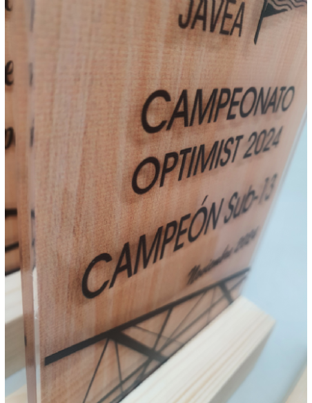 Trofeo De Metacrilato Y Madera cerca 2