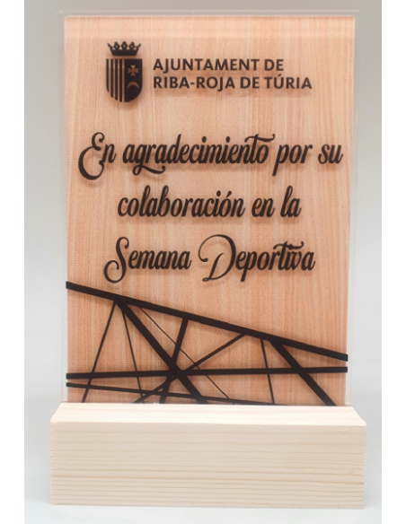 Trofeo De Metacrilato Y Madera frente