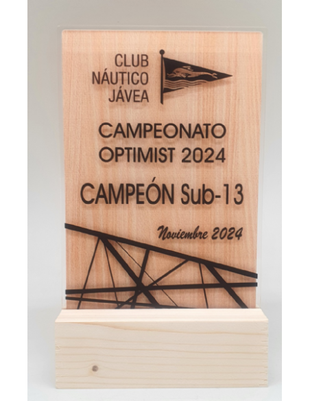 Trofeo De Metacrilato Y Madera frente 2