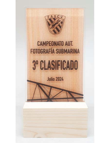Trofeo Economico De Metacrilato Y Madera