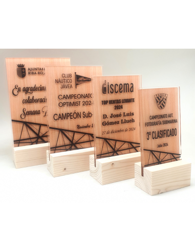 Trofeo Economico De Metacrilato Y Madera