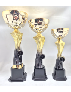 Copa y trofeo economico con disco para deporte