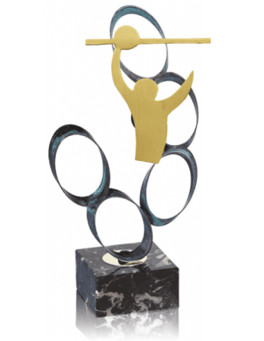 Trofeo De Voleybol