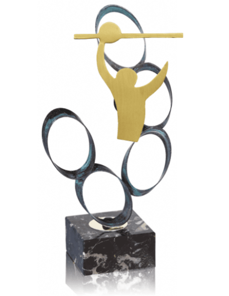 Trofeo De Voleybol
