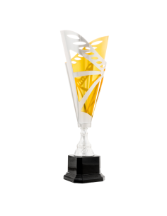 Trofeos economicos y modernos en valencia