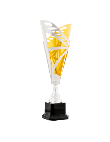 Trofeos economicos y modernos en valencia