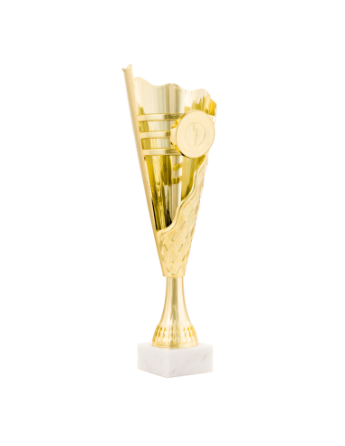 Copa de participación, trofeo económico