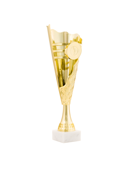 Copa de participación, trofeo económico