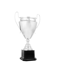 Copa de diseño clásico 26-1005