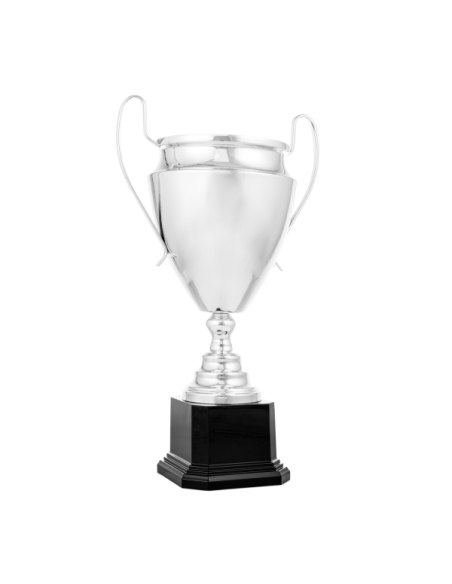 Copa de diseño clásico 26-1005