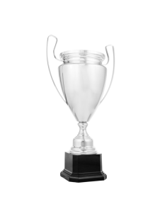 Copa de diseño clásico 26-1006