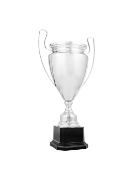 Copa de diseño clásico 26-1006