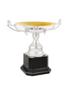 Copa de diseño clásico 26-1010