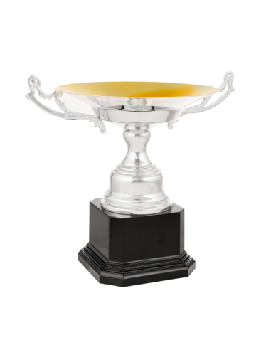 Copa de diseño clásico 26-1010