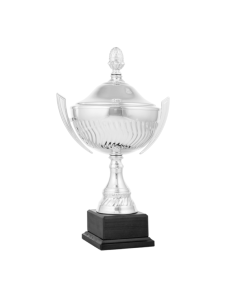 Copa de diseño clásico con tapa 26-1021