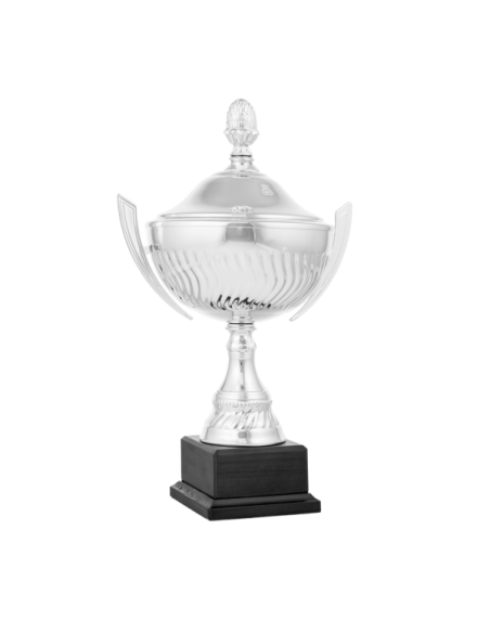 Copa de diseño clásico con tapa 26-1021