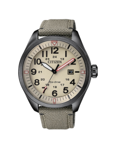 AW5005-12X – Reloj Citizen