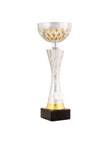 26-1617 Copa económica