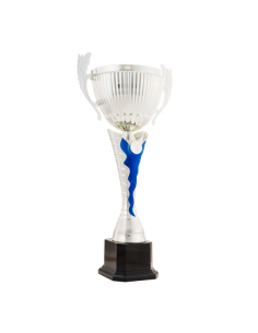 26-1608 Copa económica